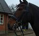 Oldenborg **Valerius**