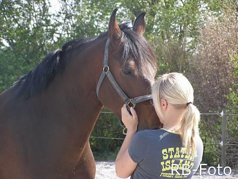 Oldenborg VESTERGÅRDS FILIPPA (†08) - Flips og jeg i en hyggelig stund <33 billede 3