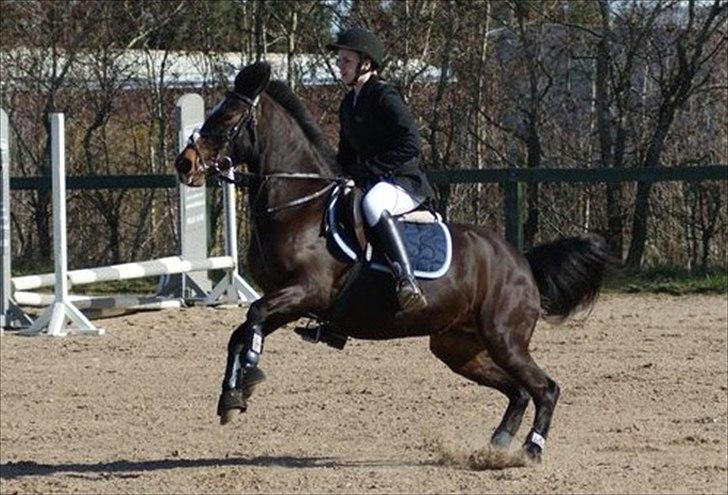 Anden særlig race Le fleur   - Fleur og Henriette til stævne i Farsø billede 1