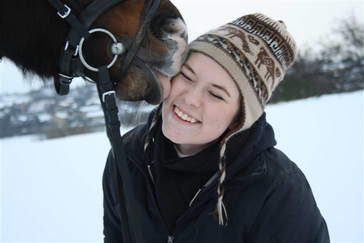 Anden særlig race Le fleur   - Pony kysser :P Foto: Mor billede 2