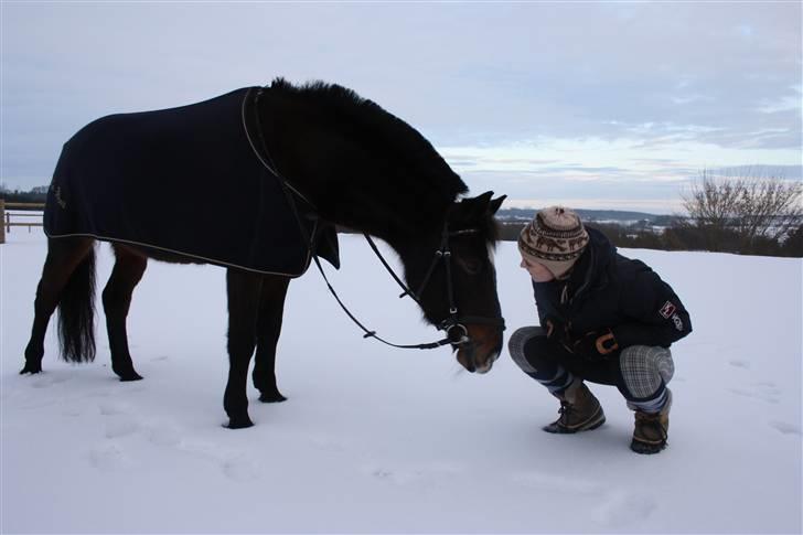 Anden særlig race Le fleur   - Foto: mor billede 12