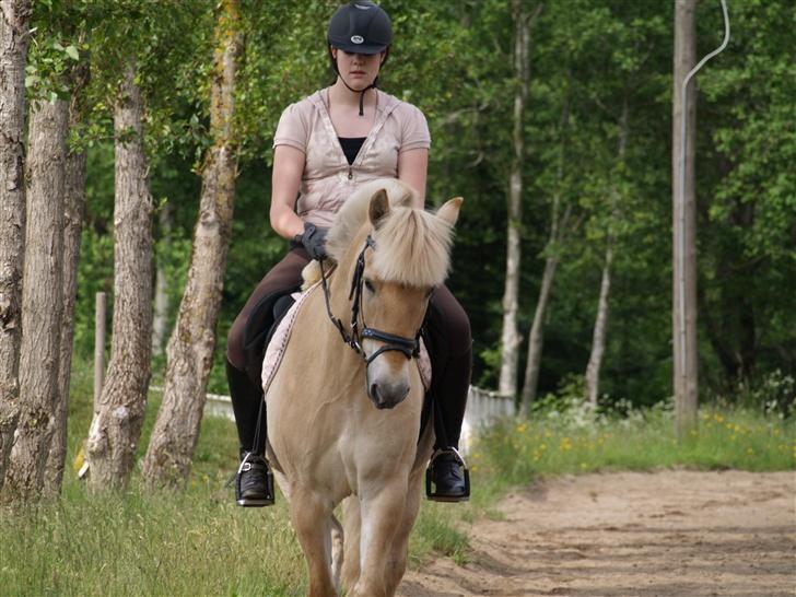 Anden særlig race Frederik - ilu. Foto: Kimie Dehn billede 13