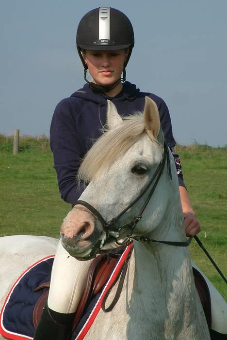 Tysk Sportspony Shadow 79 {Solgt}  - Shadow&Jeg <3 billede 19