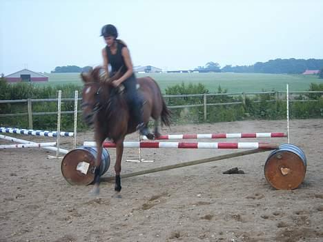 Arabisk fuldblod (OX) Splint - 2006 billede 9