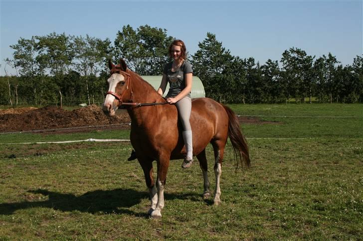 Oldenborg Molly (min Fars) - Molly med Nanna vores herlige Nabo...  billede 17