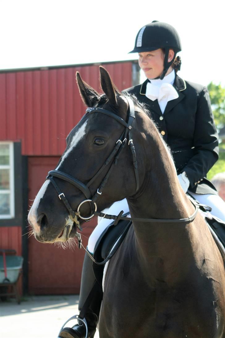 Oldenborg April's Nar     *Plysser* - efter første klasse til stævne på solbakken...  billede 11