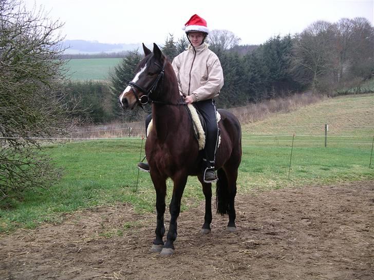 Connemara Hovfelds Cover Girl - Cover og jeg på vej i skoven til en juletur :) billede 17