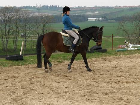 New Forest Egholms Mayo billede 6