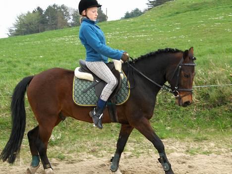 New Forest Egholms Mayo billede 8