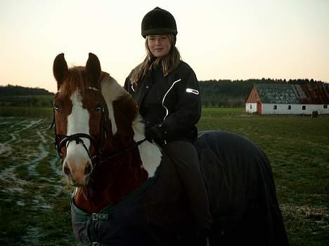 Pinto indi<33(solgt) - Indse og miig rider lige en vinter kold eftermiddag <3 billede 3