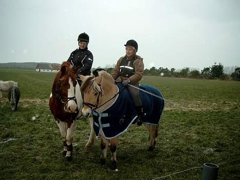 Pinto indi<33(solgt) - hva ska man sige.. der er kærlighed i luften :D billede 7