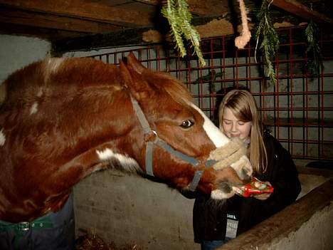 Pinto indi<33(solgt) - gi mig nu den gave ! :D billede 8