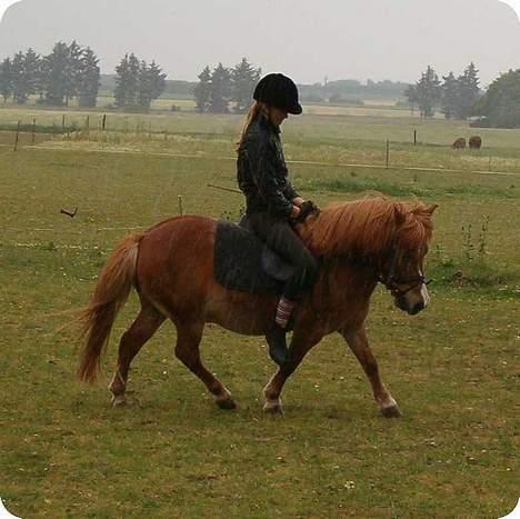 Anden særlig race Hyldtoft´s Pinocchio.  - så kom der regn. hvor blev vi våde : ) billede 15