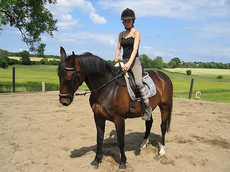 Anden særlig race Diva - Første gang oppe på hende i 3 mdr. Såå dejligt.. billede 6