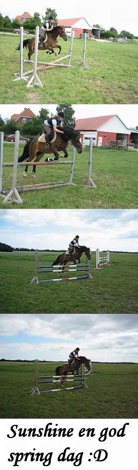 Anden særlig race Sunshine <3 Solgt :( billede 17