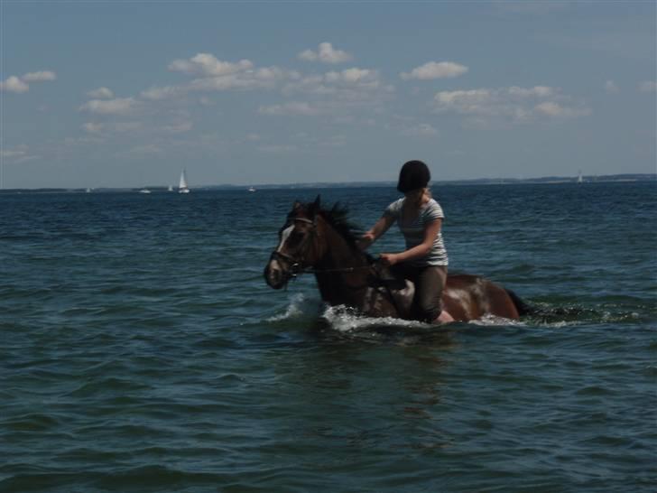 Anden særlig race Sunshine <3 Solgt :( - Sunshine ruller sig :D billede 19