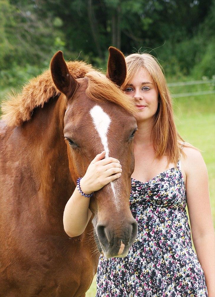 Frederiksborg Landsbyens Hjalmer - 08.07.10 - Min elskede snutti-hest. Hold kæft, hvor er han dejlig, kærlig og opmærksom :) billede 14
