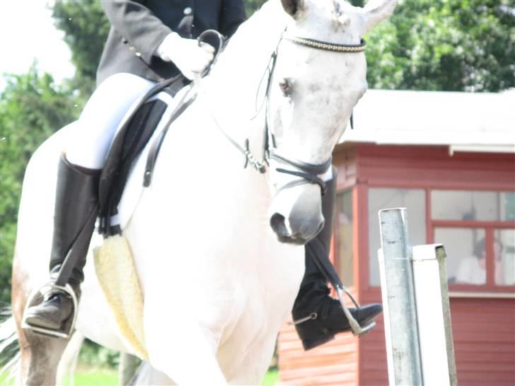 Anden særlig race Oliver - Oliver :) billede 2