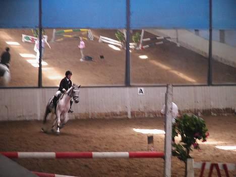 Anden særlig race Oliver - smil :) billede 3