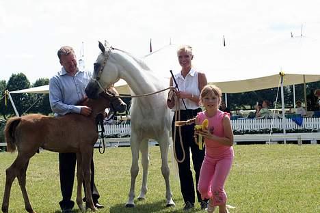 Arabisk fuldblod (OX) Sherifa SCID/CA fri - Sherifa TOP 3. Int. B-show 88.00 point Sverige,Melissa henter vores pokal 2006 billede 14