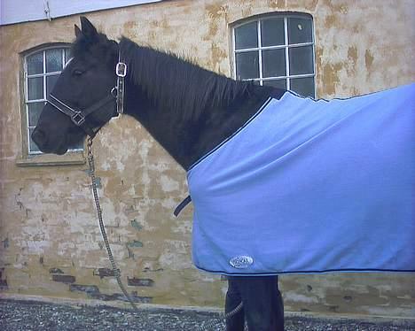 Traver Futte (profit) - han jo fotogen ;D billede 4