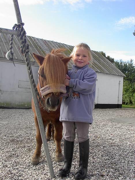 Shetlænder urban  - Mig og Nanna :b billede 14