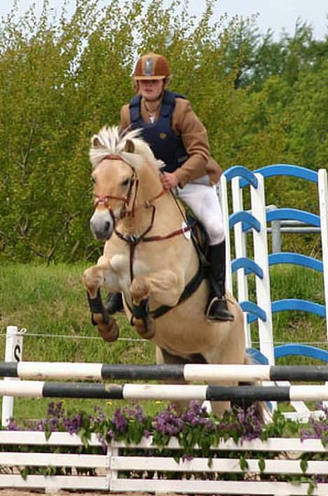 Fjordhest Vængets Liza <3 - mig og liza 80 cm.. birken 06. billede 19