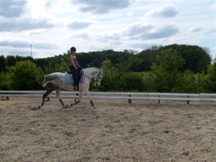 Anden særlig race Oliver - Oliver :) billede 5