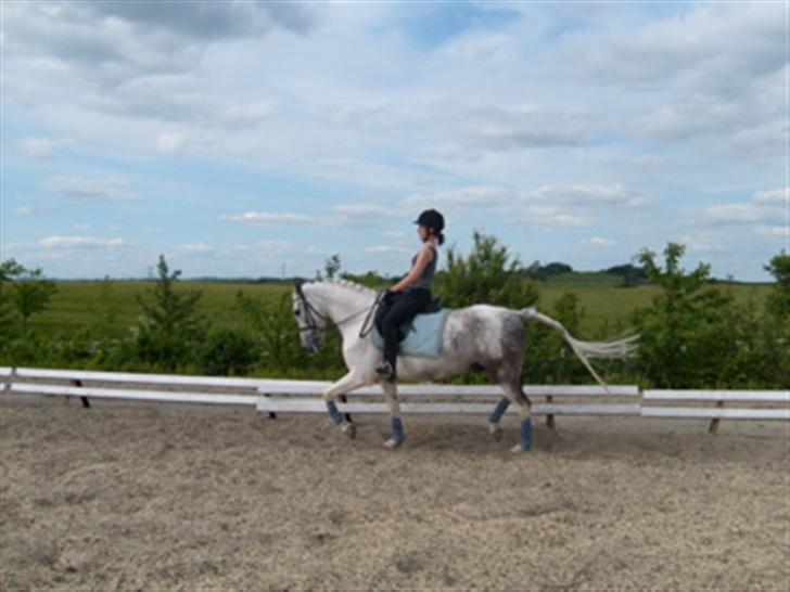 Anden særlig race Oliver - Smukke Oliver :) billede 6