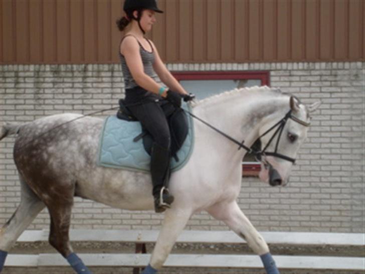 Anden særlig race Oliver - Ihhh, hvor jeg dog elsker dig :) billede 7