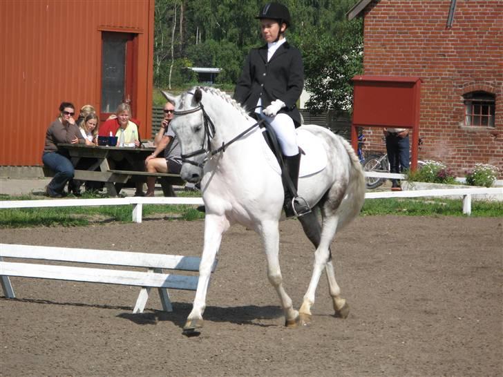 Anden særlig race Oliver - Smukke :) billede 9