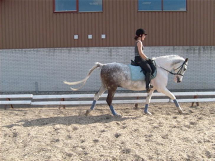 Anden særlig race Oliver - :) billede 10