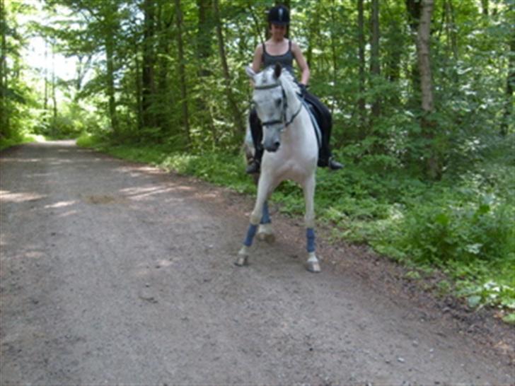 Anden særlig race Oliver - :) billede 12