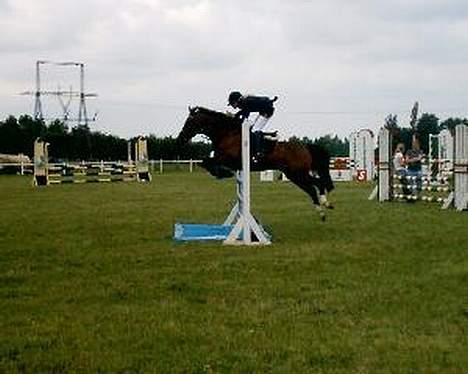 New Forest Shadow - Red nul i LA til fyens, min vinder skat ! billede 8