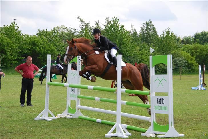 Dansk Varmblod Sophia *RIP* - Masterspringning i REB.... Hopla Foto: Stine Ravn billede 2