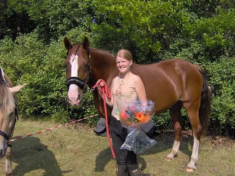 Dansk Varmblod Sophia *RIP* - Jeg vandt til børnedyrskuet der hvor jeg bor. billede 4