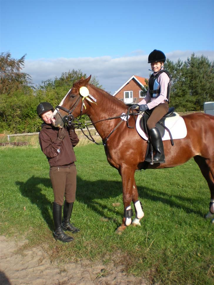Dansk Varmblod Sophia *RIP* - Søs har lige vundet en roset :D dygtig!!!!! billede 7
