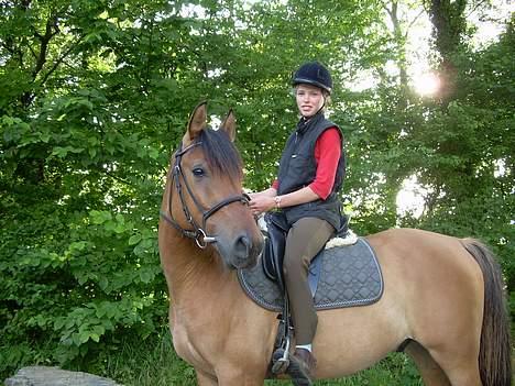 Anden særlig race Stjerne  - mig og stjerne <33 (ikk kig på min ridehjelm) hehe billede 19