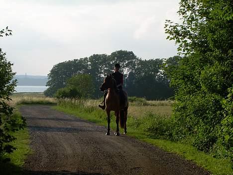 Anden særlig race Stjerne  - Uhh ja oz 2 igen ., vi er da baR for lækre ., hehe billede 20