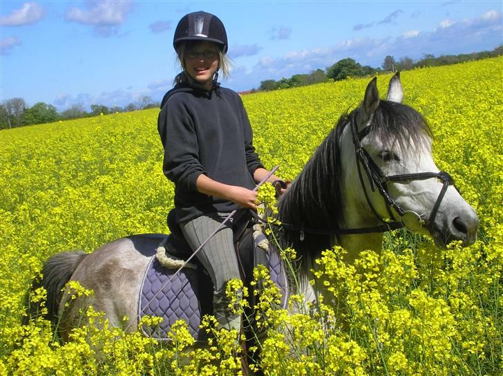 Anden særlig race Winnie *SOLGT* - Mig og Winse i rapsmarken. (:  billede 20