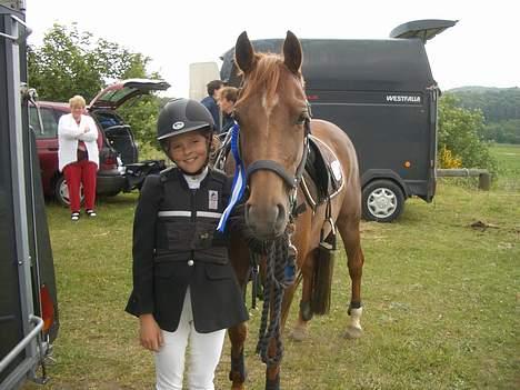 Welsh Cob (sec D) Kielshoop Honeyrose Solgt - Elsker den pony ;b billede 5