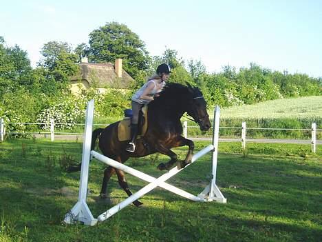 Anden særlig race Asa vav kit - Vi springer.. :D billede 7