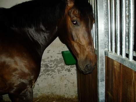 Anden særlig race Asa vav kit - I han´s boks.. billede 11