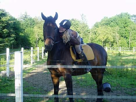 Anden særlig race Asa vav kit - Hjemme på ridebanen.. :P billede 12