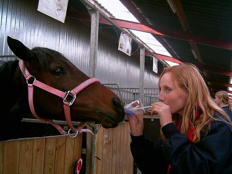 Anden særlig race Dixie Solgt - Dixie og michelle høj. thorsø rideklub 06 billede 17
