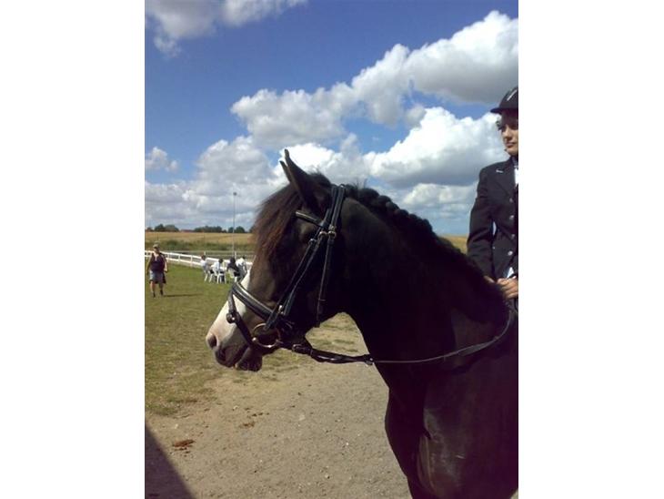 {{currentPhoto.altText}} billede {{currentPhoto.number}}