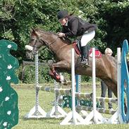 Knabstrupper Nynne!<3 ~ Mit eventyr!<3