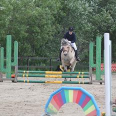 Fjordhest (Bumle)-Bella..