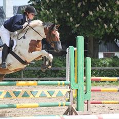 Pinto Falkenhus´s Vivaldi <3 