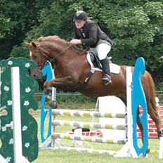 Anden særlig race Contesses Babe *>Rider<3!